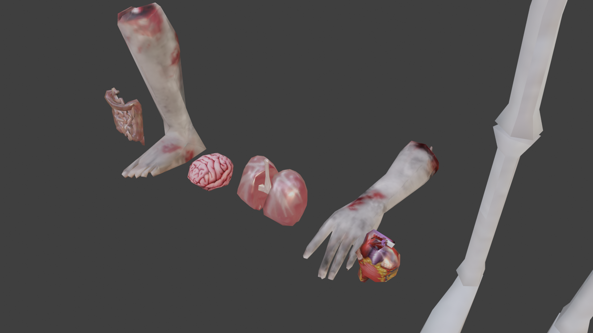 Anatomy (LOW-POLY) preview image 3